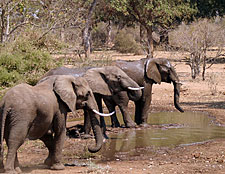 Zambia-Zambia-Shiwa Ngandu Deluxe Horse Safari
